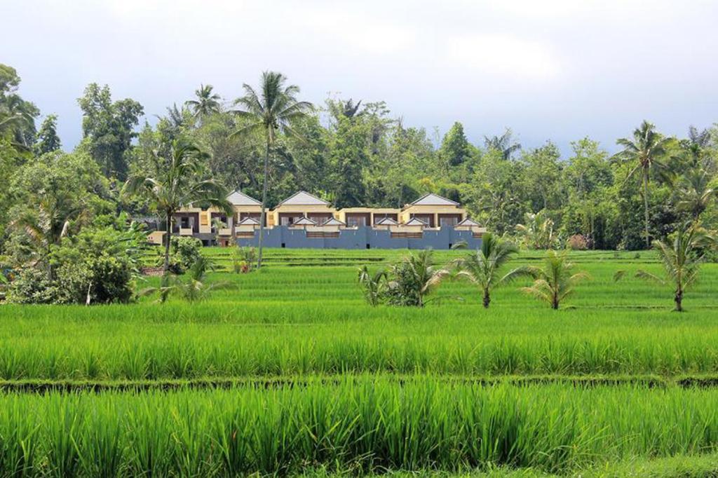 Batukaru Hotel Bali Eksteriør billede