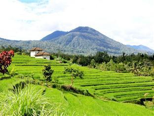 Batukaru Hotel Bali Eksteriør billede
